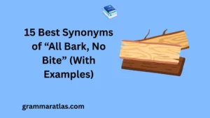 Best Synonyms of ‘All Bark, No Bite’ (With Examples)
