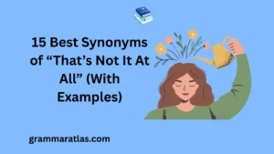 Best Synonyms of “That’s Not It At All” (With Examples)