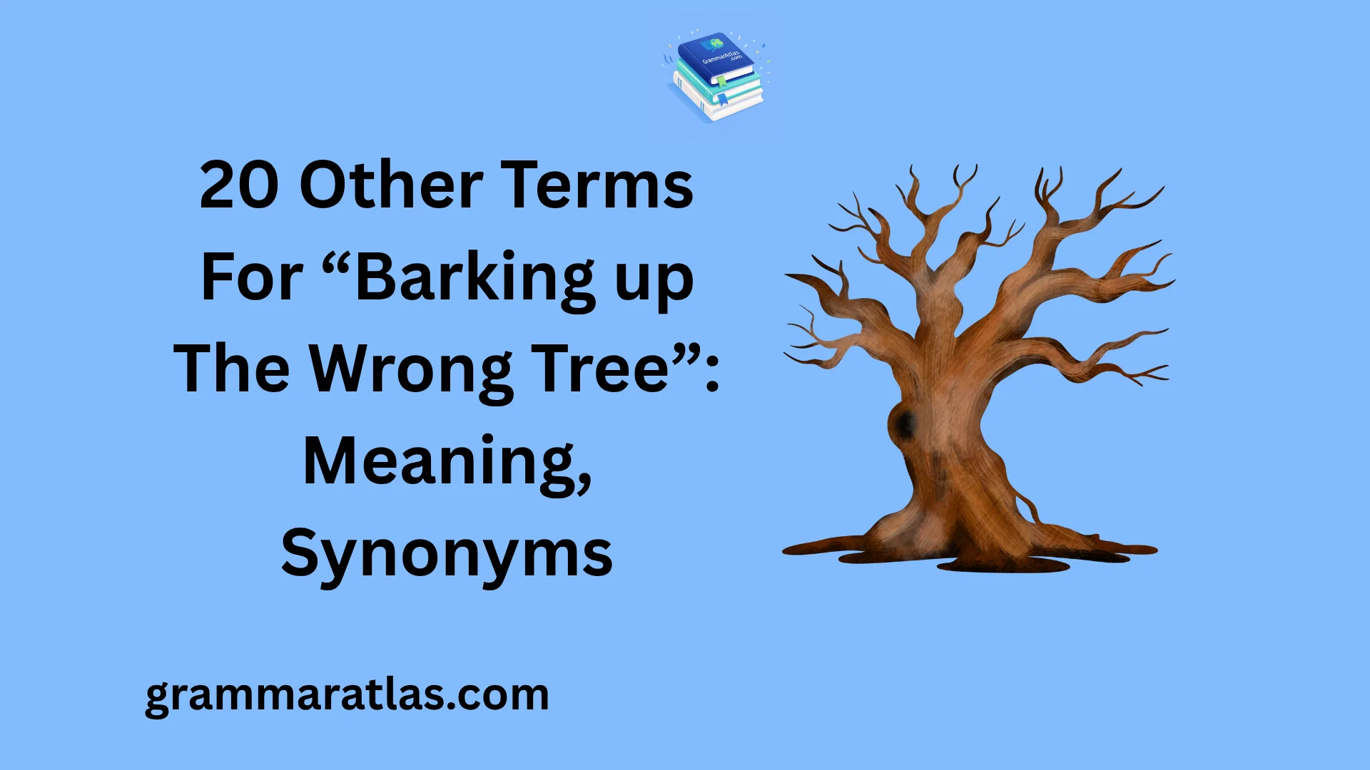 Other Terms For “Barking up The Wrong Tree”: Meaning, Synonyms
