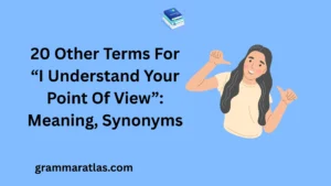 Other Terms For “I Understand Your Point Of View”: Meaning, Synonyms