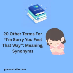 20 Other Terms For “I’m Sorry You Feel That Way”: Meaning, Synonyms