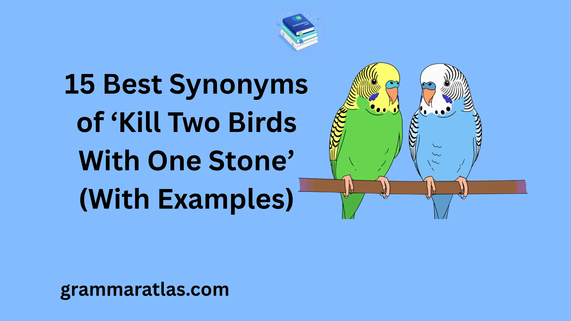 Best Synonyms of ‘Kill Two Birds With One Stone’ (With Examples)