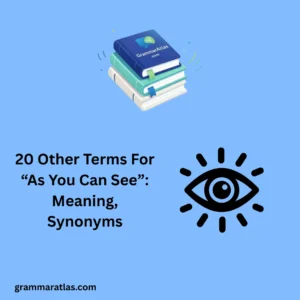 Other Terms For “As You Can See”: Meaning, Synonyms