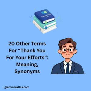 Other Terms For “Thank You For Your Efforts”: Meaning, Synonyms