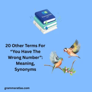 Other Terms For “Kill Two Birds With One Stone”: Meaning, Synonyms