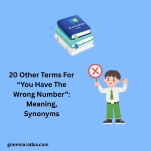 Other Terms For “You Have The Wrong Number”: Meaning, Synonyms
